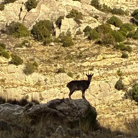 Parras De Martin